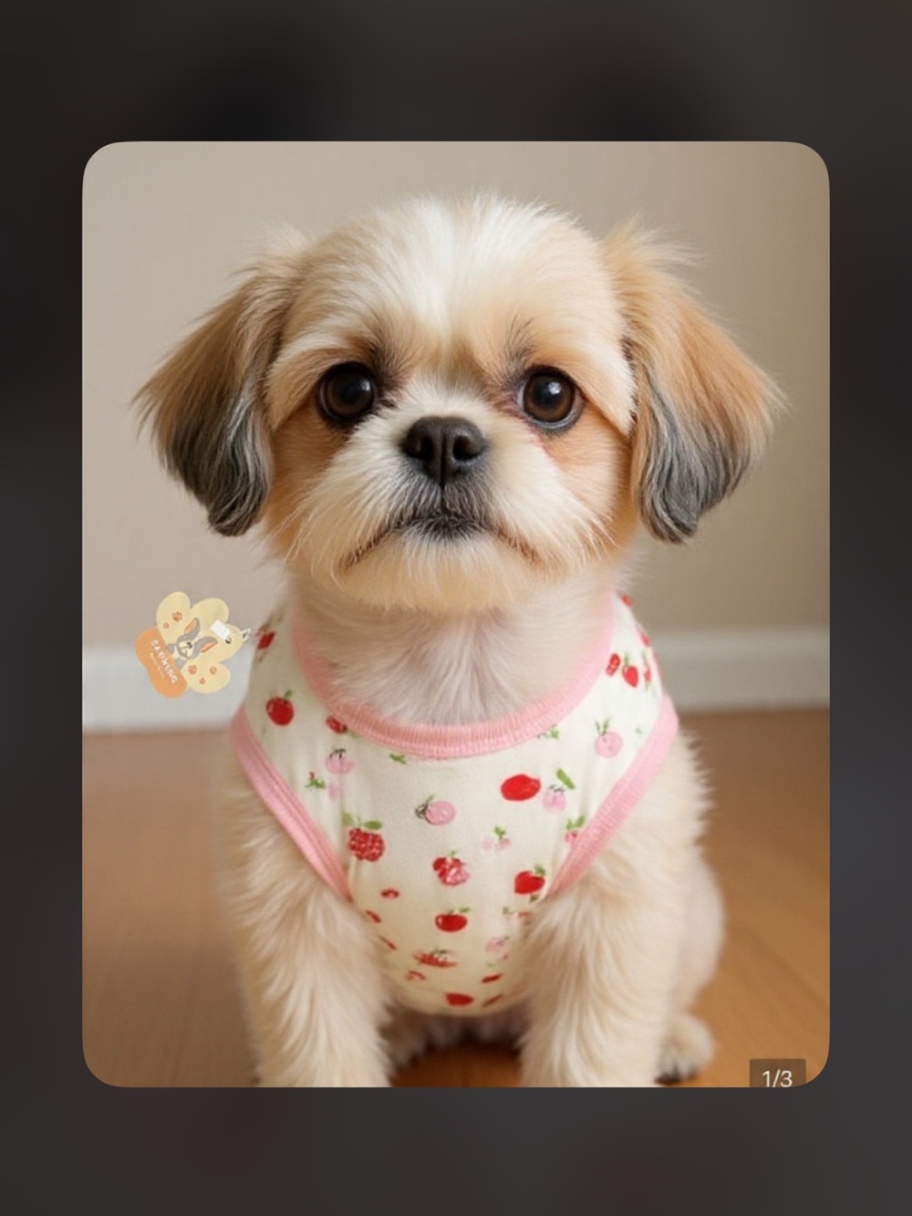 Cute Pink-Trimmed White Cherry Print Dog Tank. NWT